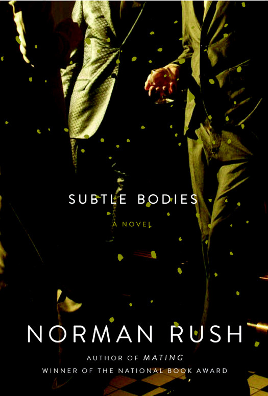 Subtle Bodies Norman Rush
