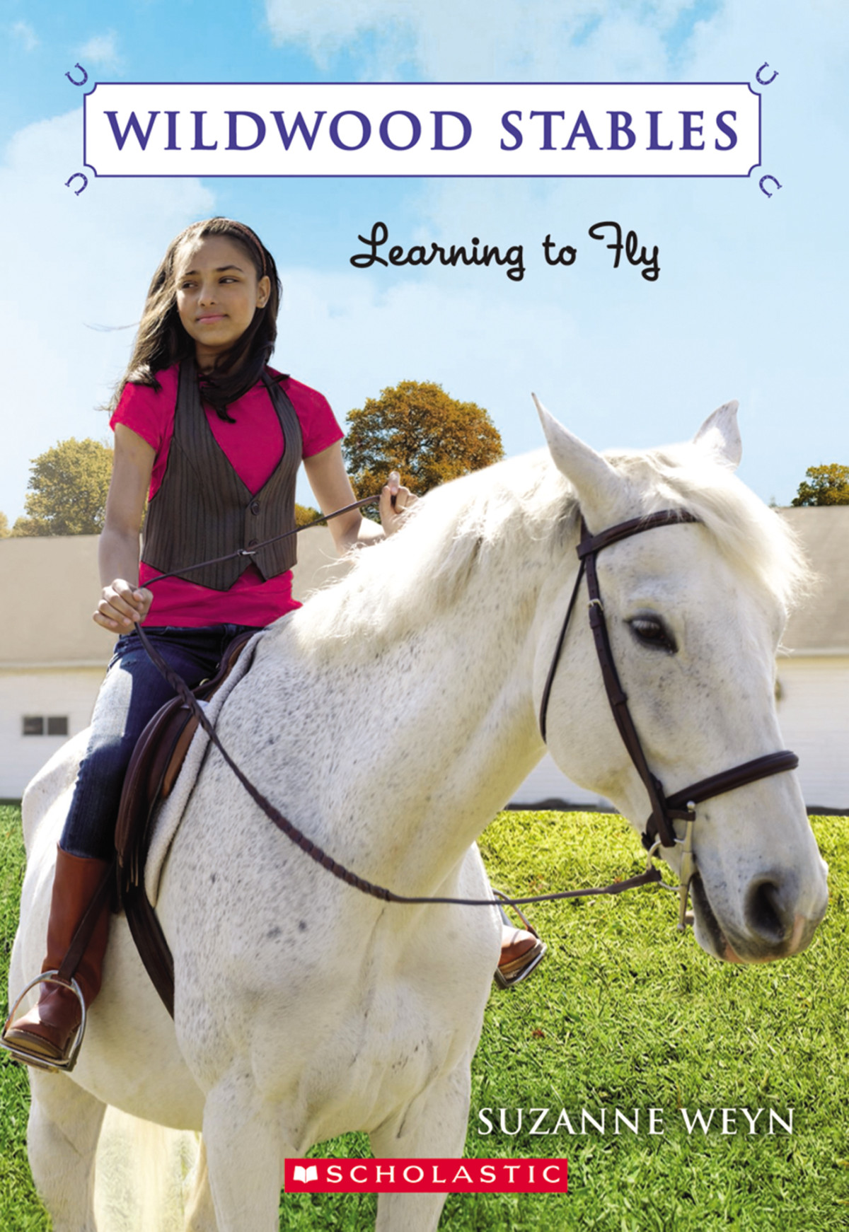 Learning To Fly Suzanne Weyn