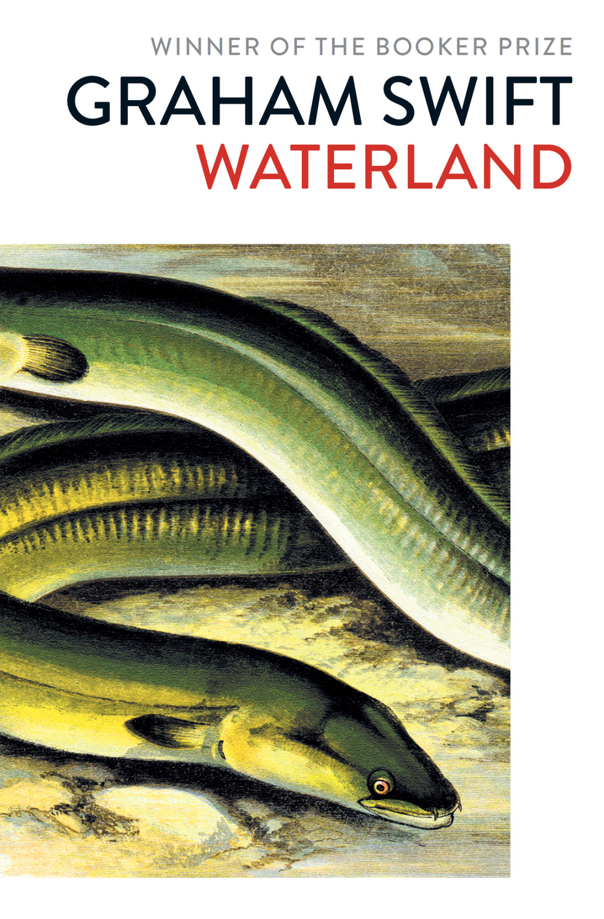 Waterland Graham Swift
