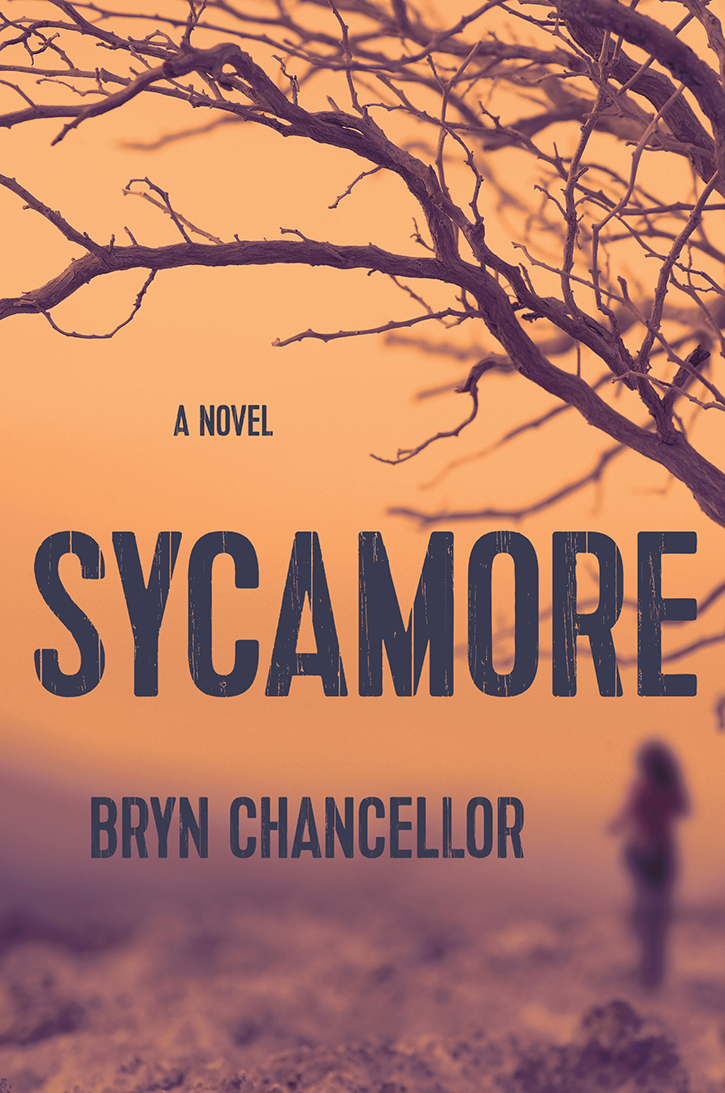 Sycamore Bryn Chancellor