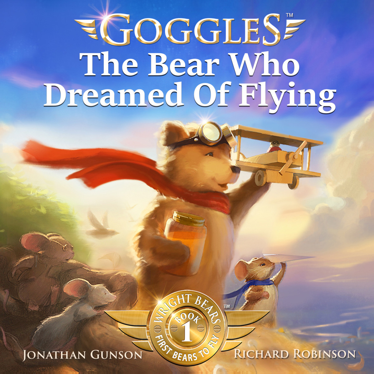 Goggles The Bear Who Dreamed Of Flying Jonathan Gunson