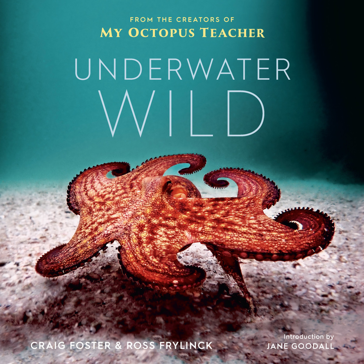 The Underwater Wild Foster Craig