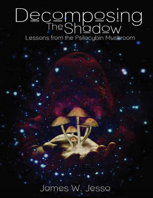 Decomposing The Shadow James W Jesso
