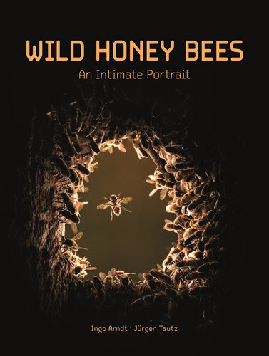 Wild Honey Bees An Intimate Portrait Ingo Arndt