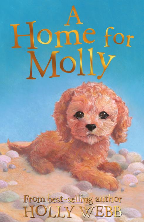 A Home For Molly Holly Webb