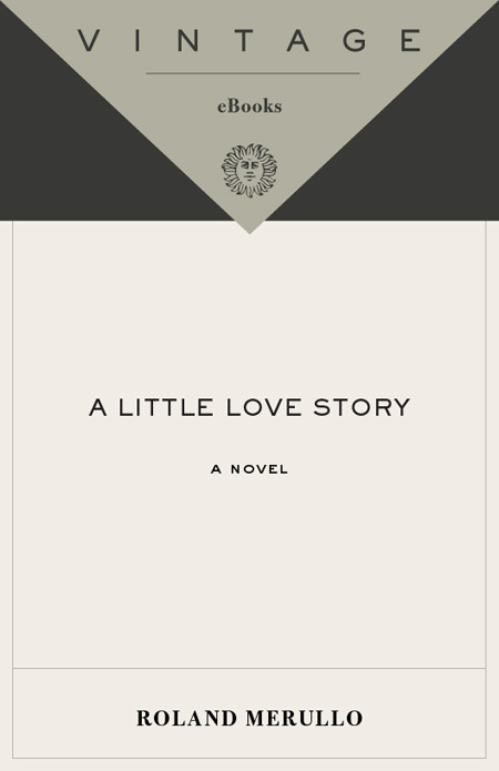 A Little Love Story Roland Merullo