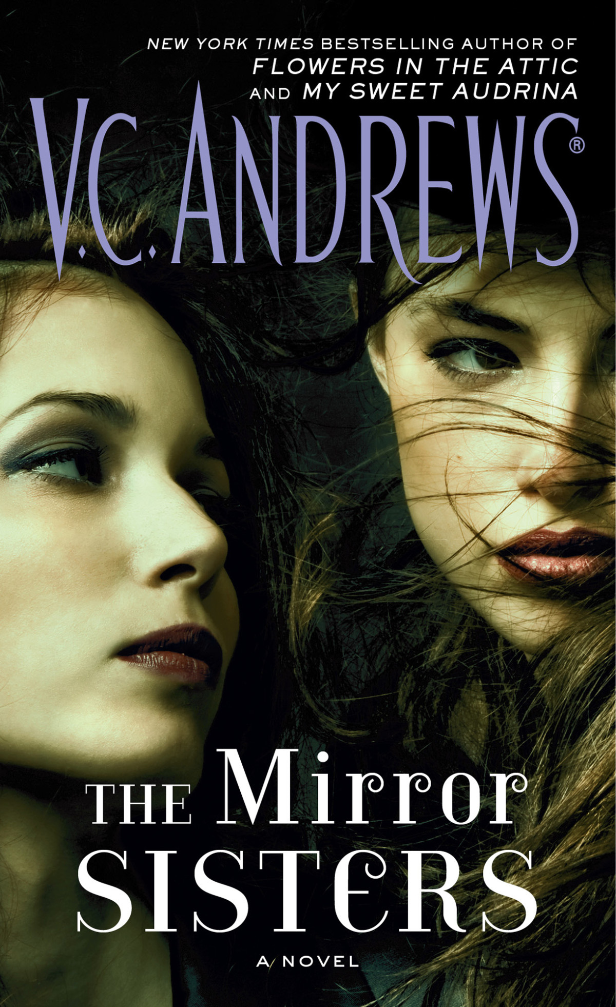 The Mirror Sisters Vc Andrews
