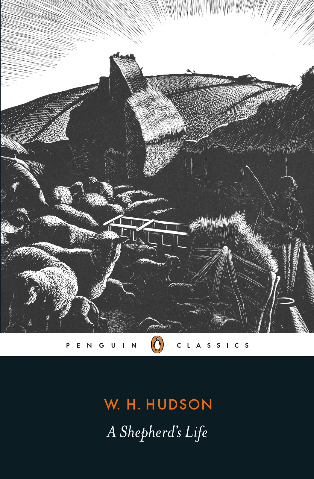 A Shepherds Life W H Hudson