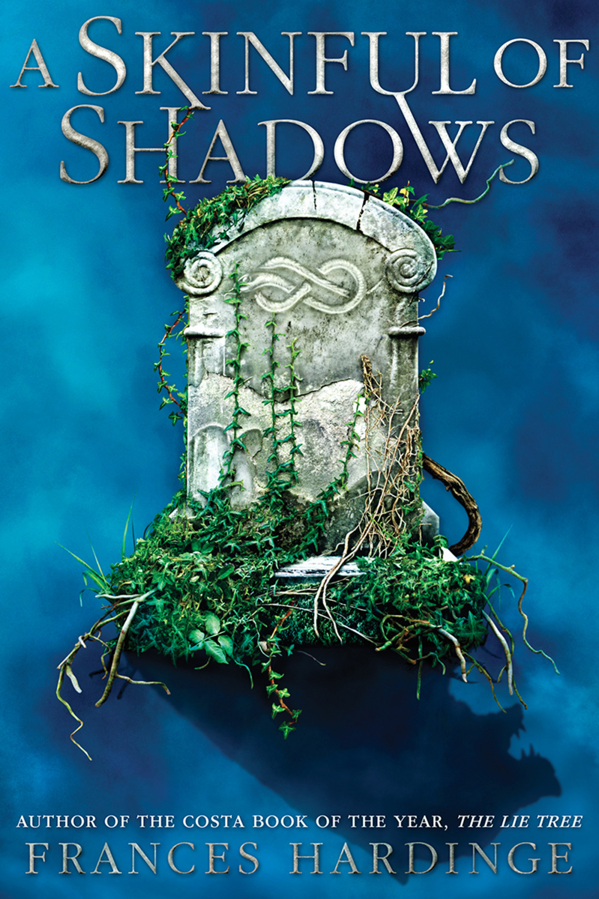 A Skinful Of Shadows Frances Hardinge