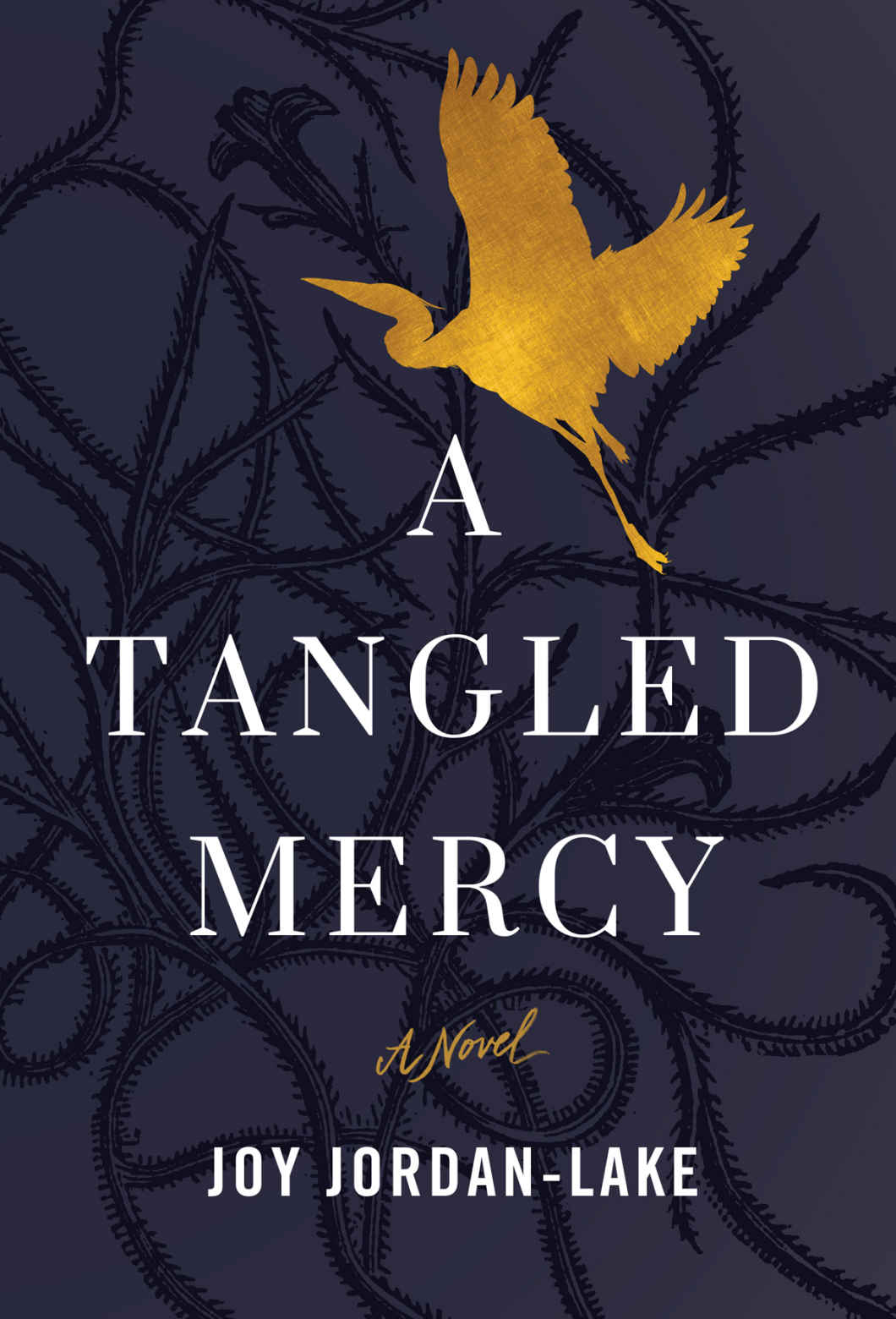 A Tangled Mercy A Novel Joy Jordanlake