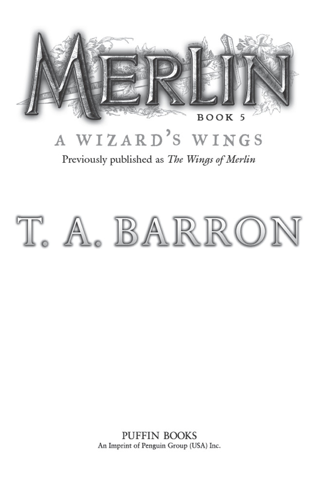 A Wizards Wings T A Barron