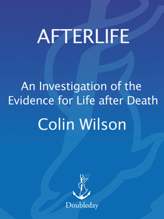 Afterlife Colin Wilson