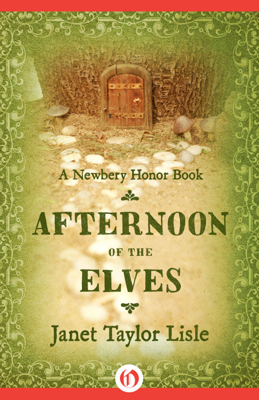 Afternoon Of The Elves Janet Taylor Lisle