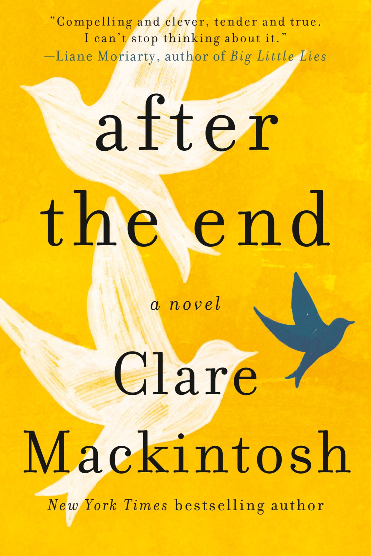 After The End Clare Mackintosh
