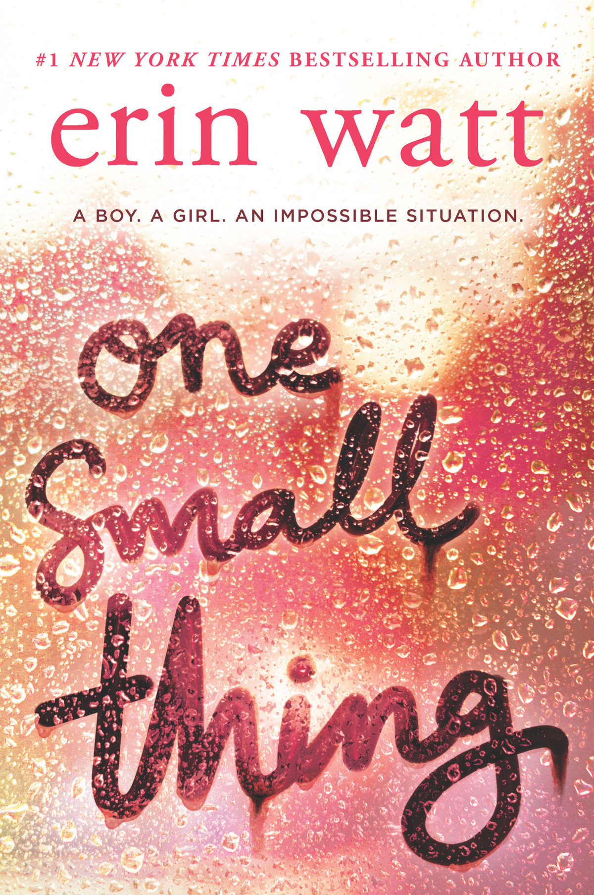 One Small Thing Erin Watt