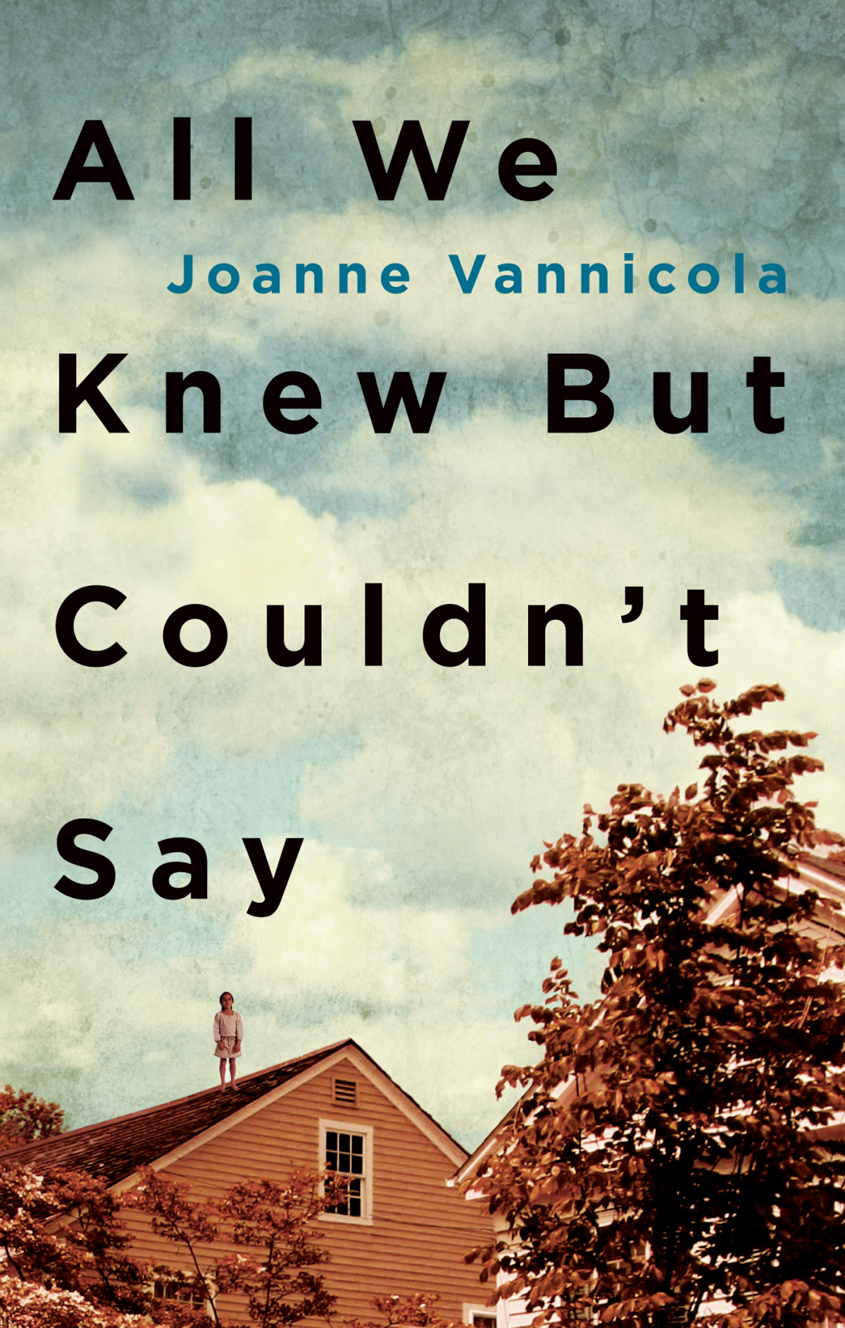 All We Knew But Couldnt Say Joanne Vannicola
