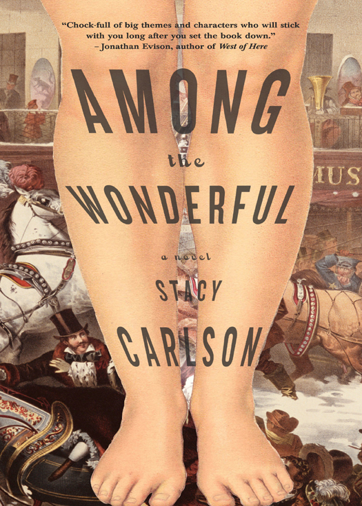 Among The Wonderful Stacy Carlson