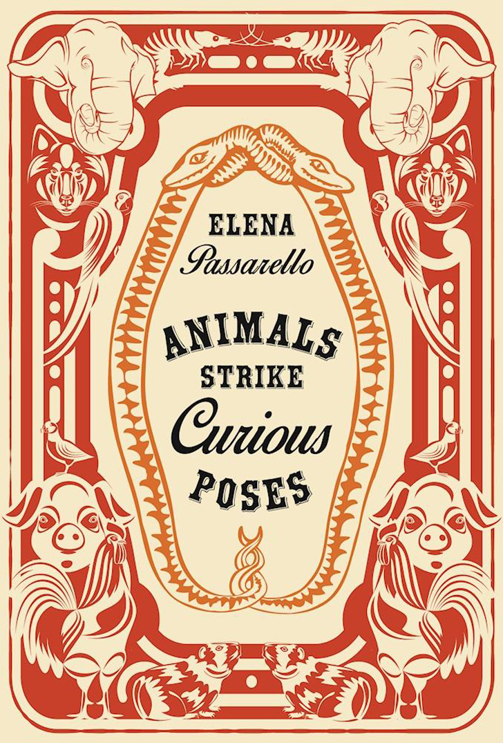 Animals Strike Curious Poses Elena Passarello