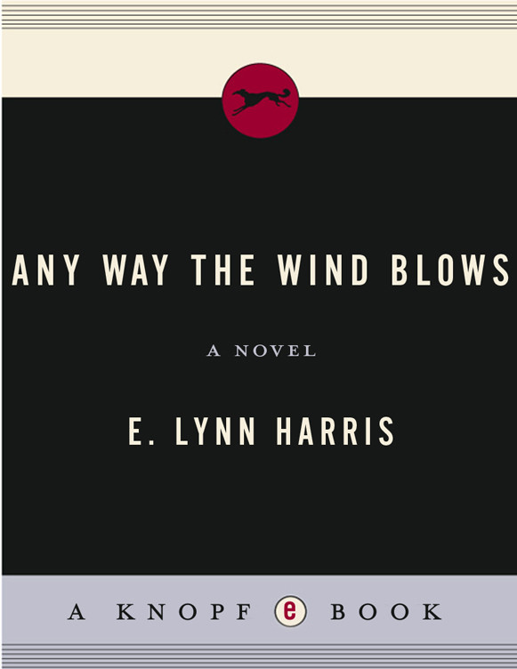 Any Way The Wind Blows E Lynn Harris