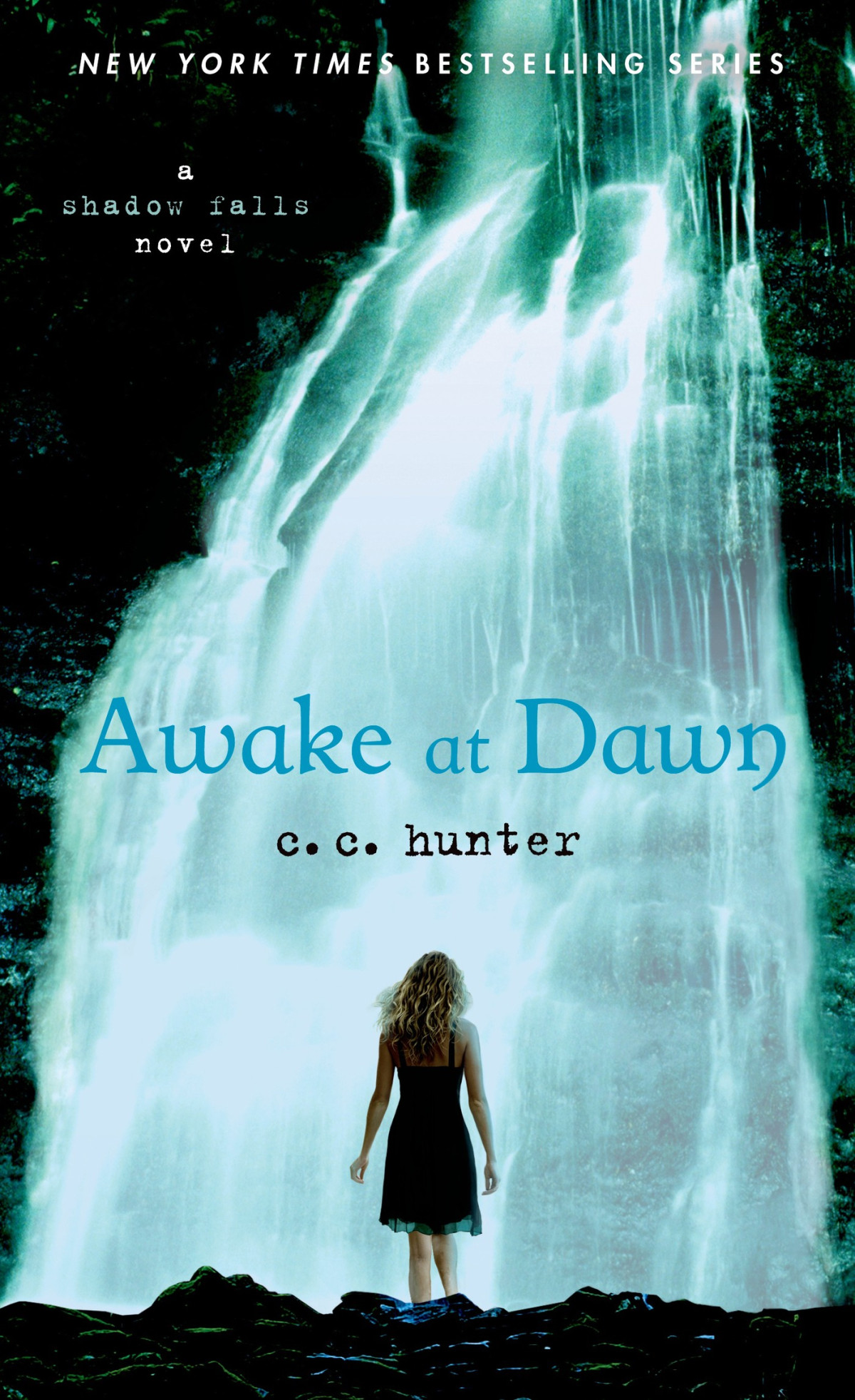 Awake At Dawn C C Hunter