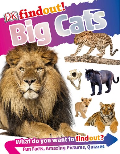 Dkfindout Big Cats Andrea Mills