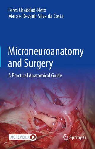Microneuroanatomy And Surgery A Practical Anatomical Guide Feres Chaddadneto