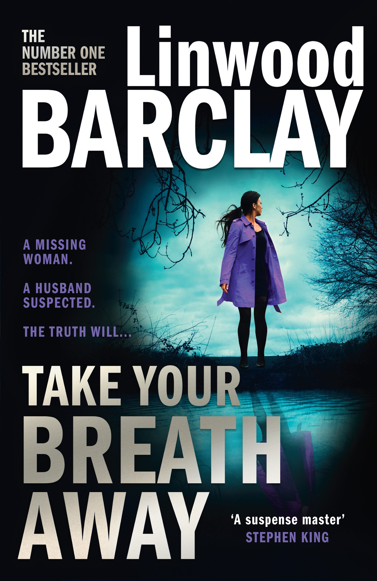 Take Your Breath Away Linwood Barclay