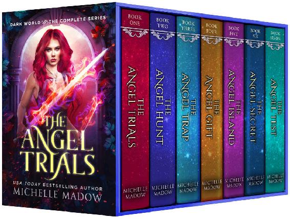 The Angel Trials Complete Series Michelle Madow
