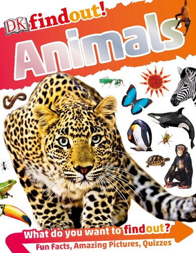 Dkfindout Animals Andrea Mills