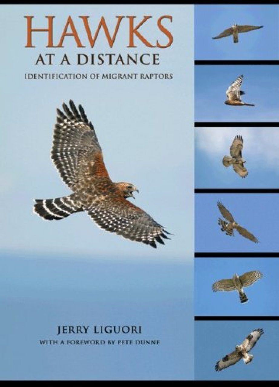 Hawks At A Distance Jerry Liguori