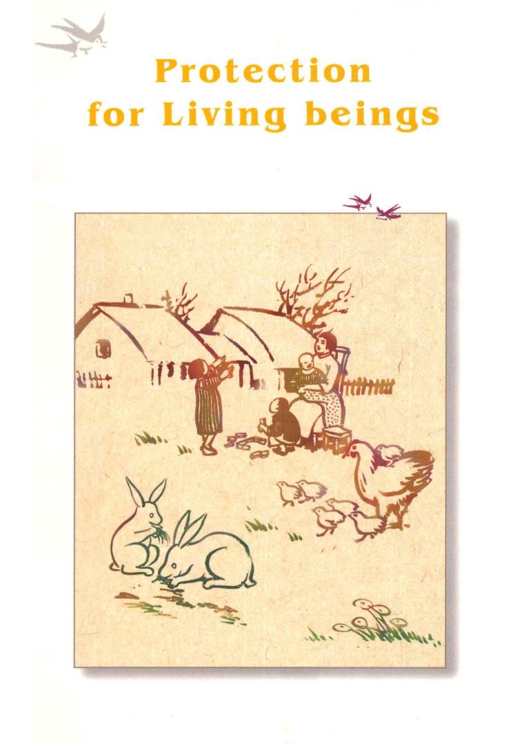 Protection For Living Beings Master Hong Yi