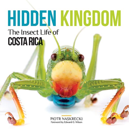 Hidden Kingdom The Insect Life Of Costa Rica Piotr Naskrecki