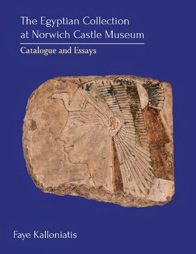 The Egyptian Collection At Norwich Castle Museum Catalogue And Essays Kalloniatis