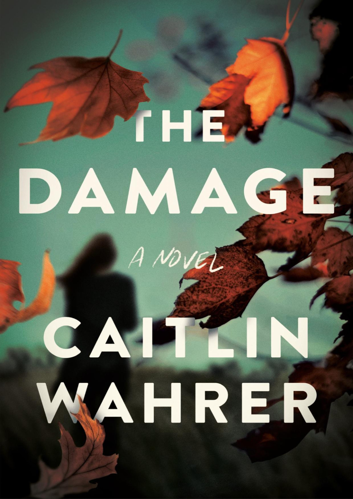 The Damage Caitlin Wahrer