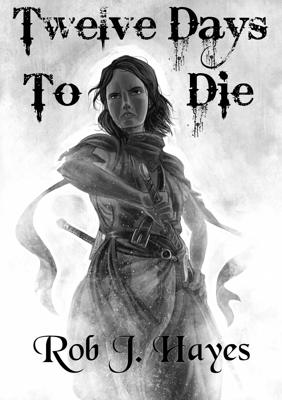 Twelve Days To Die Rob J Hayes