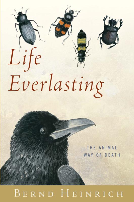 Life Everlasting The Animal Way Of Death Bernd Heinrich