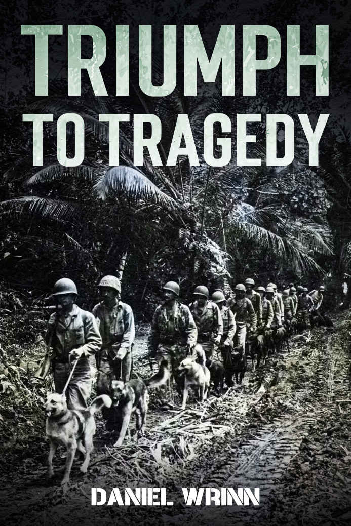 Triumph To Tragedy World War Ii Battle Of Peleliu Invasion Of Iwo Jima And Ultimate Victory On Okinawa In 1945 Ww2 Pacific Military History Series Daniel Wrinn