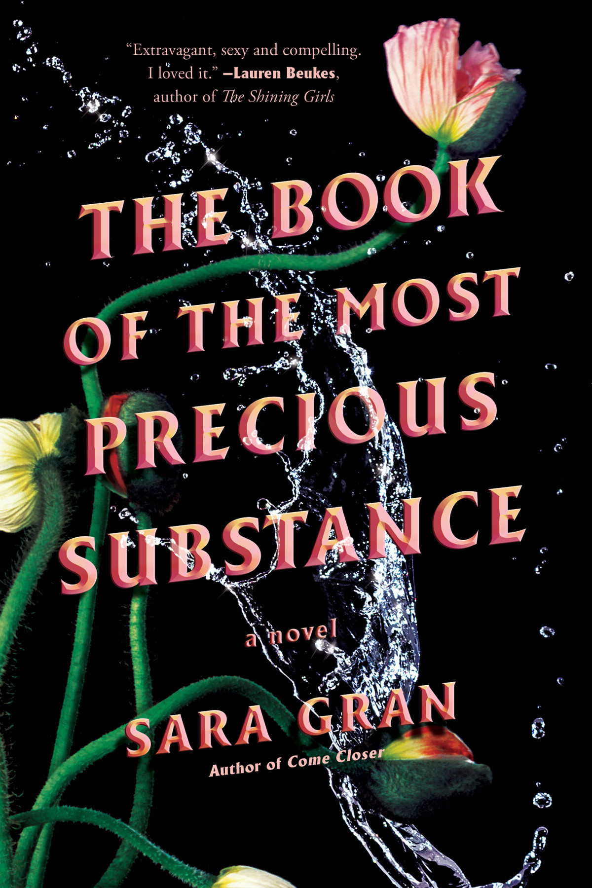 The Book Of The Most Precious Substance Sara Gran