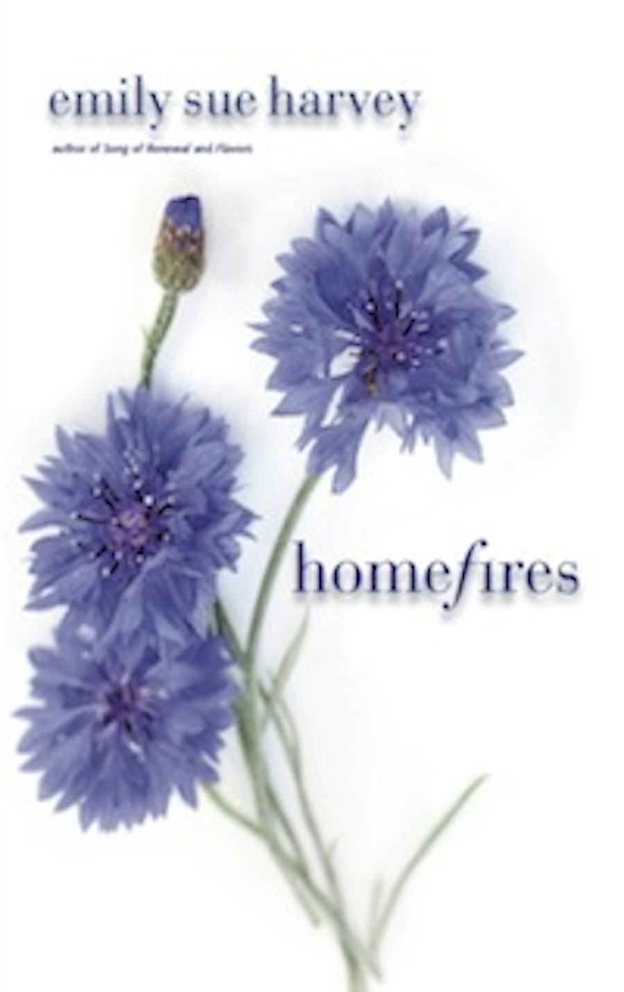 Homefires Emily Sue Harvey