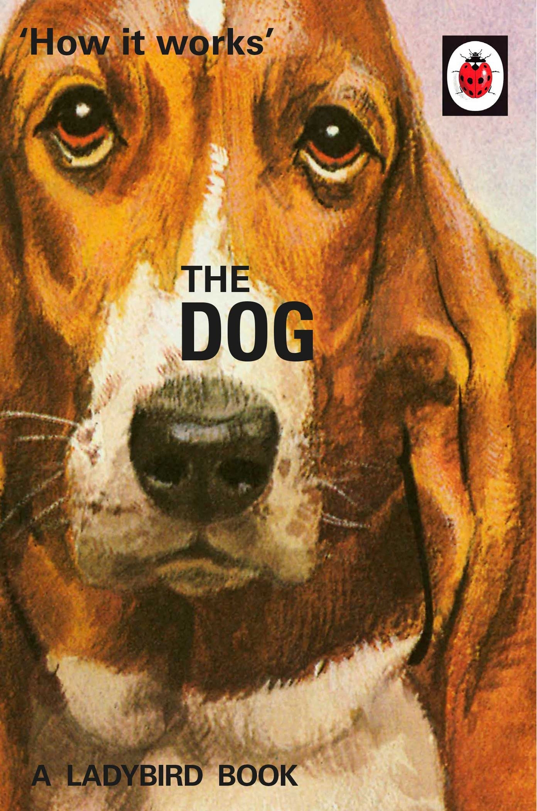 How It Works The Dog Jason Hazeley Joel Morris