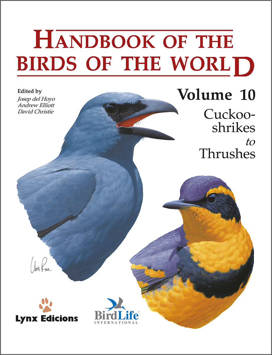 Handbook Of Birds Of The World Vol 10 Cuckooshrikes To Thrushes Part 45 Josep Del Hoyo