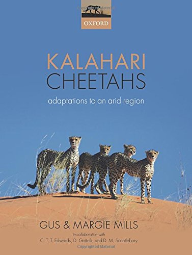 Kalahari Cheetahs Adaptations To An Arid Region Illustrated Gus Mills