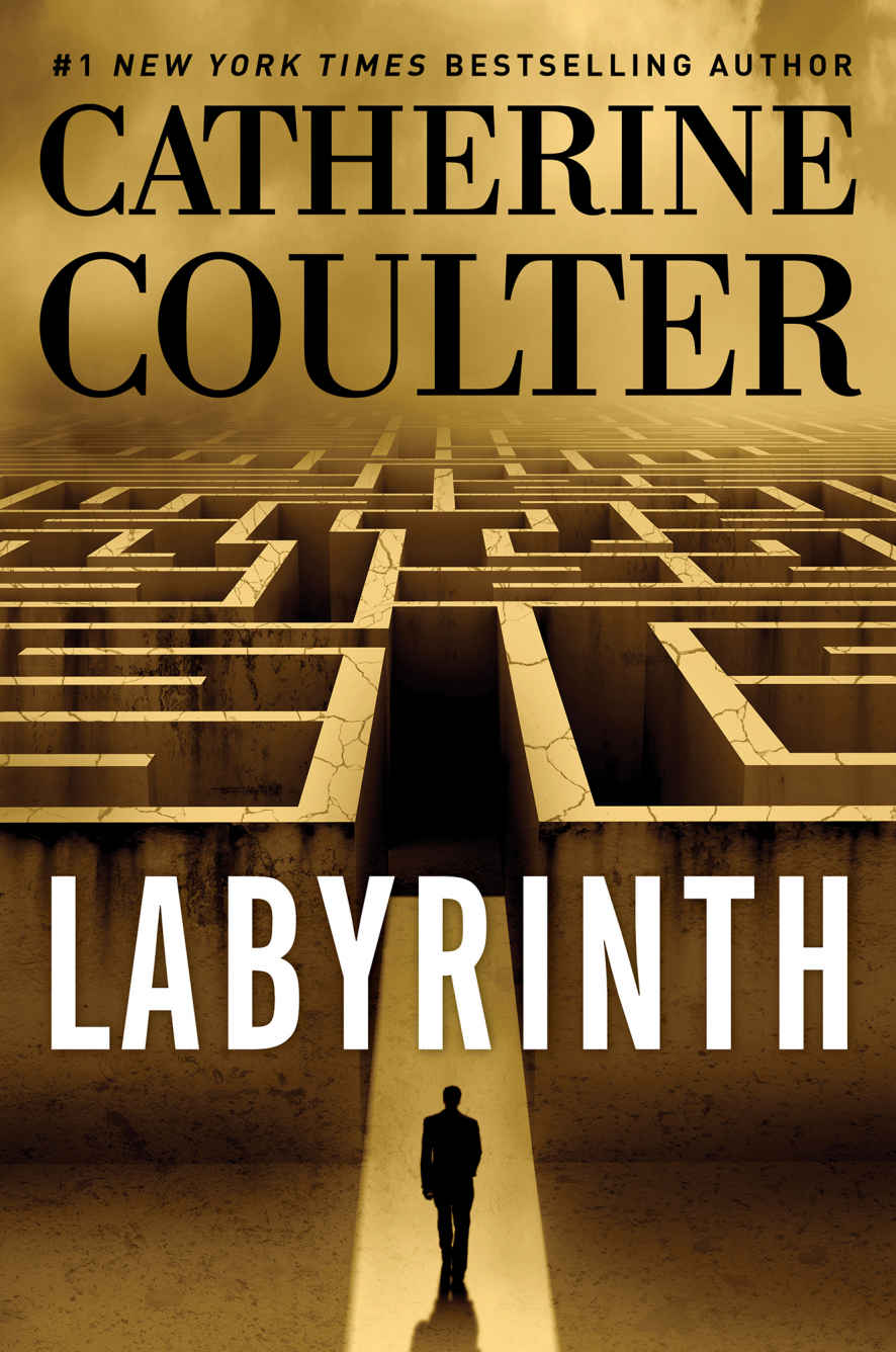 Labyrinth An Fbi Thriller Book 23 Catherine Coulter