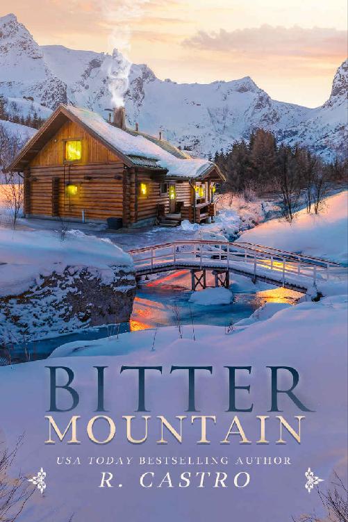 Bitter Mountain A Novella R Castro