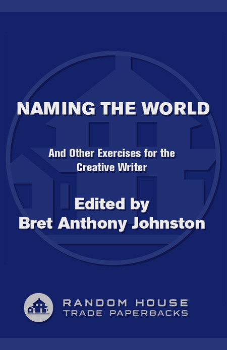 Naming The World Bret Anthony Johnston