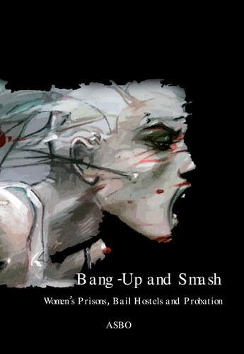 Bangup And Smash Womens Prisons Bail Hostels And Probation 1st Printing Asbo