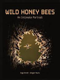 Wild Honey Bees An Intimate Portrait 1 Ingo Arndt Jrgen Tautz