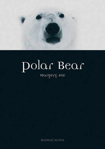 Polar Bear Animal Margery Fee