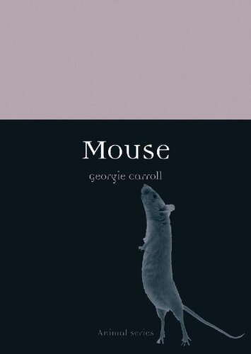 Mouse Animal Georgie Carroll