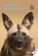 Animals Of Kruger National Park Wildlife Explorer Guides Barnes